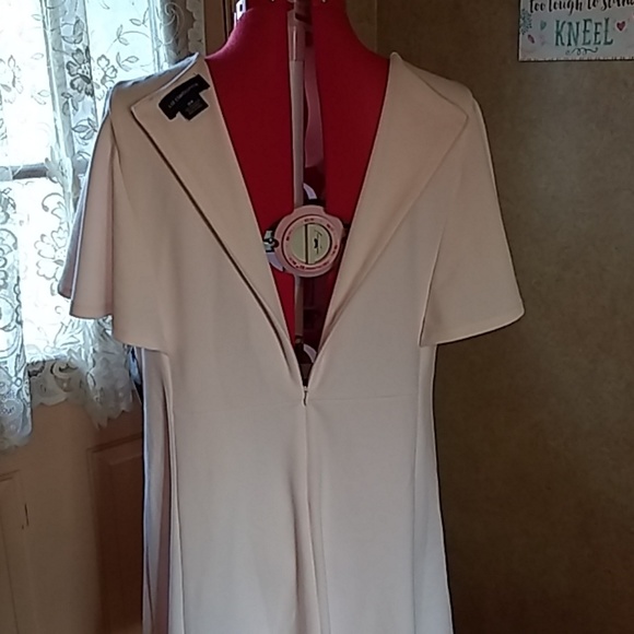 NWT light pink W sleeves V-neck dress - Picture 5 of 10